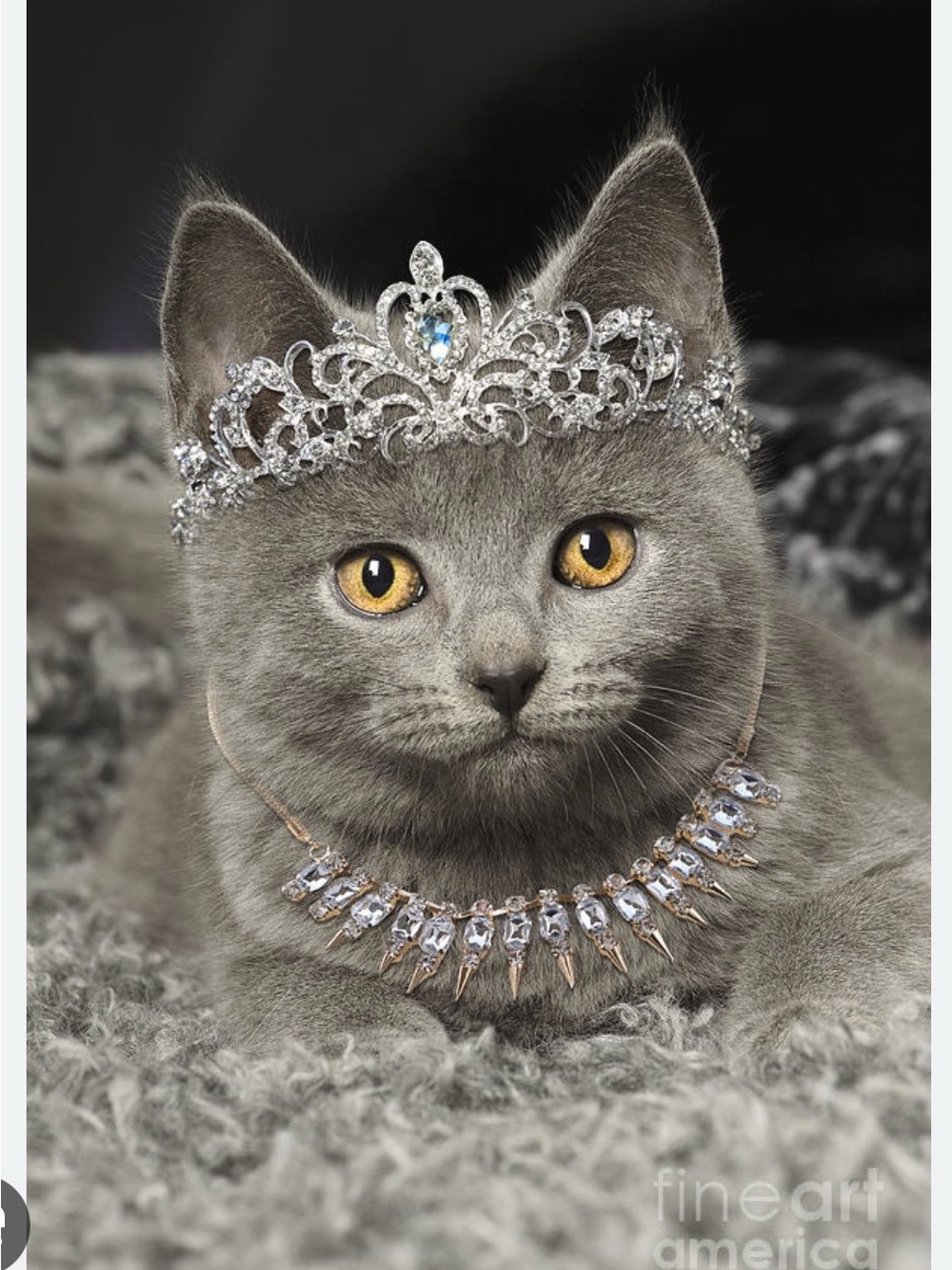 Friday Night Jewelry Listing